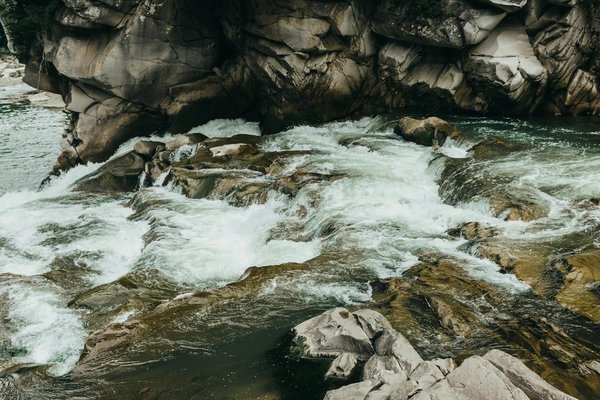 Tout Compris en Famille : Découverte et Astuces pour des Vacances Inoubliables