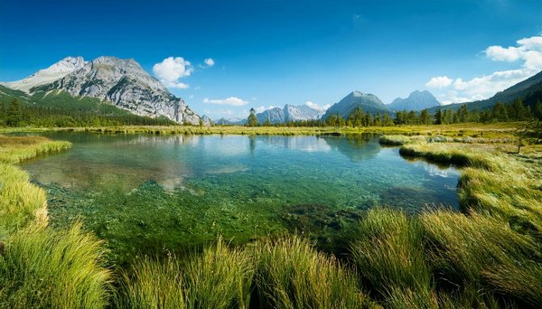 Commentaires et expériences des croisiéristes en solo : Ce qu'il faut savoir !