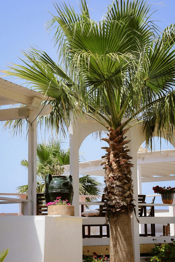 Guide des hôtels jardin à Marrakech : Charme, services et expériences inoubliables